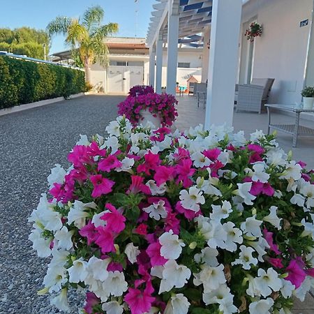 Blu D'Amare B&B Porto Cesareo Exterior photo