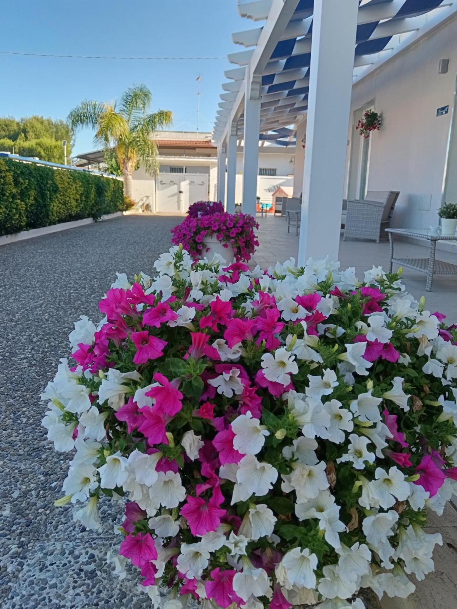 Blu D'Amare B&B Porto Cesareo Exterior photo